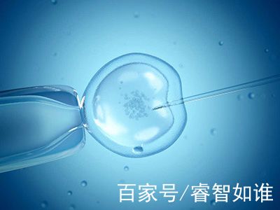 试管代孕包成功男孩